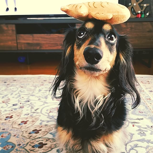 momozouさんの実例写真