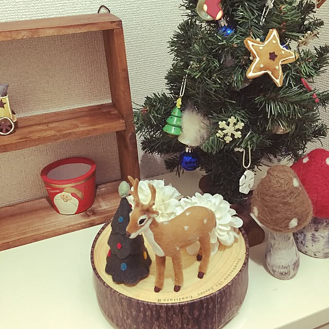 soraさんの実例写真