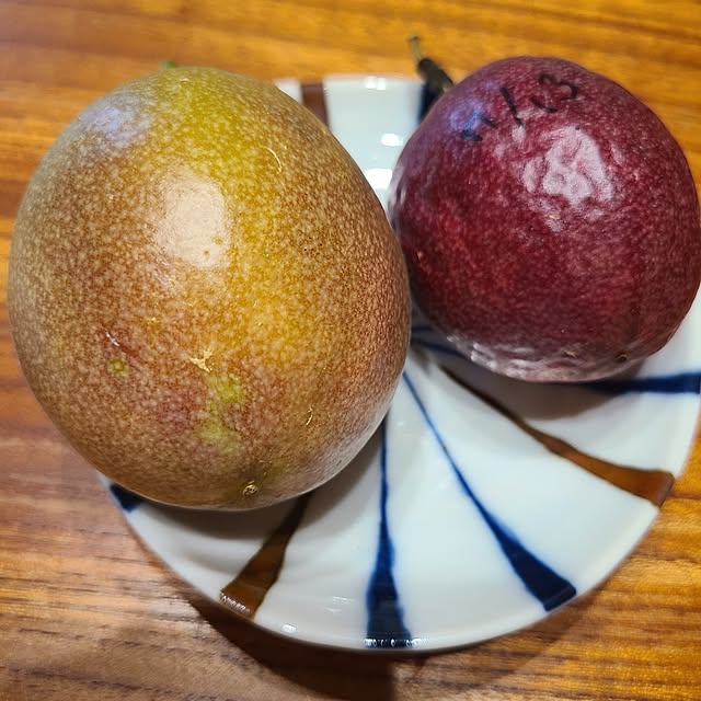 Rubiconさんの部屋