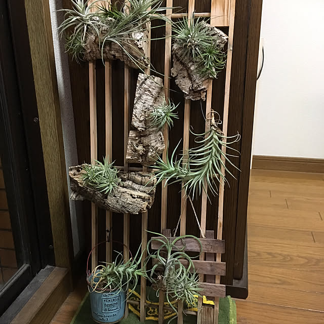 tomemoさんの実例写真