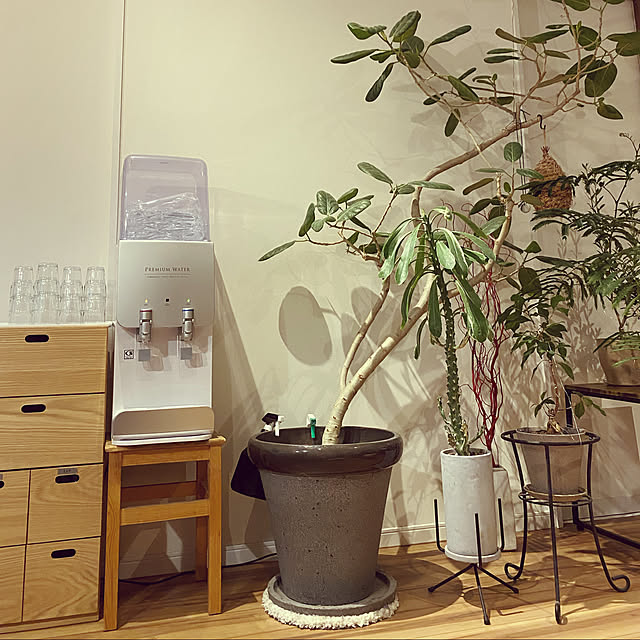ウォーターサーバー/プレミアムウォーター/観葉植物/無印良品/リビングのインテリア実例 - 2021-07-04 20:02:06