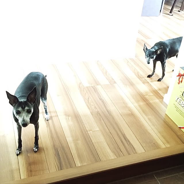 70さんの実例写真