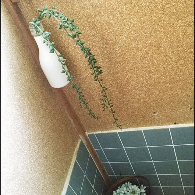GAREWさんの実例写真