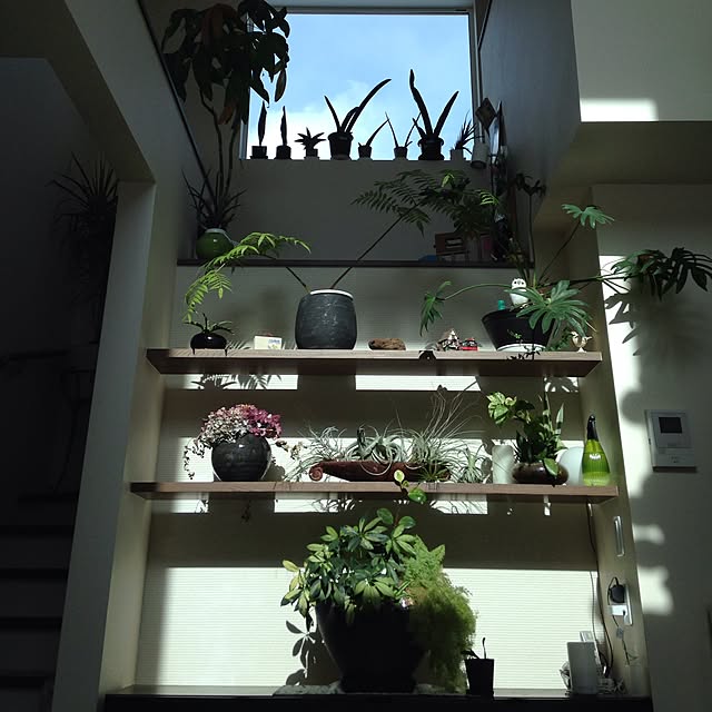 Minoさんの実例写真