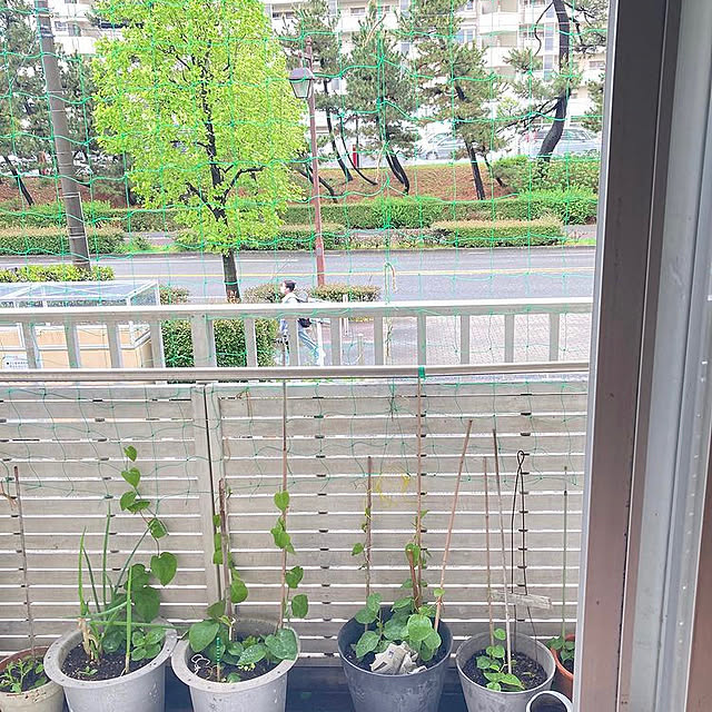 mintmamaさんの実例写真