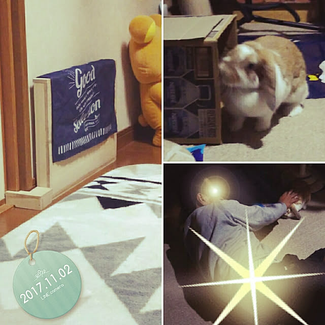usamamaさんの実例写真