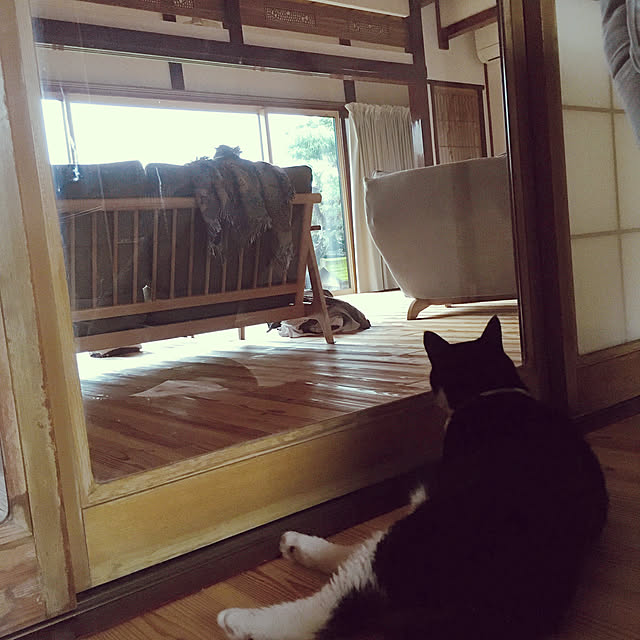 stripeblueさんの実例写真