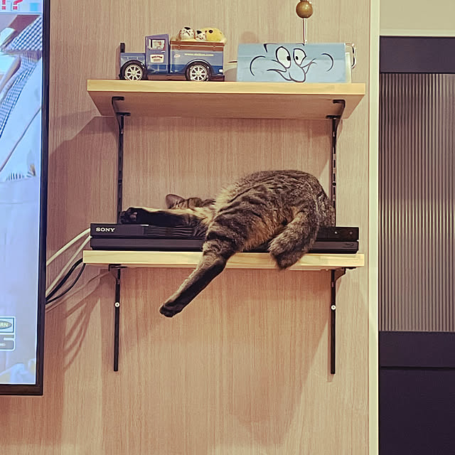 kyoさんの実例写真