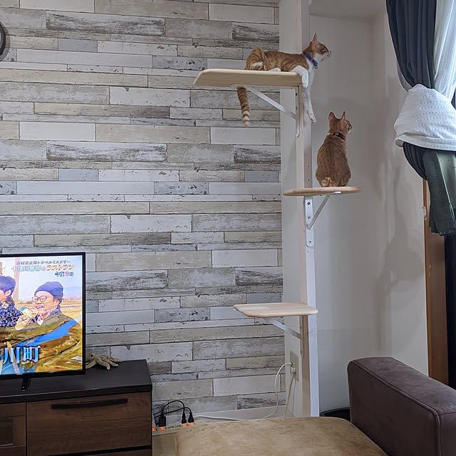 kattsunさんの実例写真