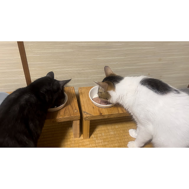 tommysobacさんの実例写真