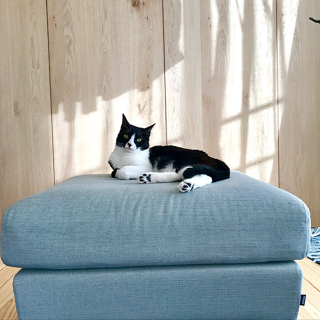 pooさんの実例写真
