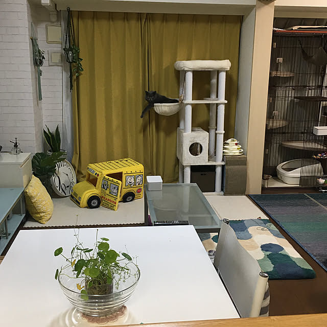 kittyさんの実例写真