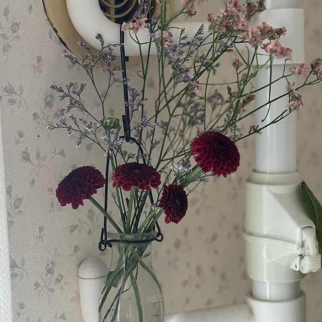 okyosan101さんの部屋