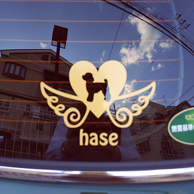 hasehase1219さんの実例写真