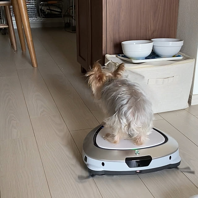ohanaさんの実例写真