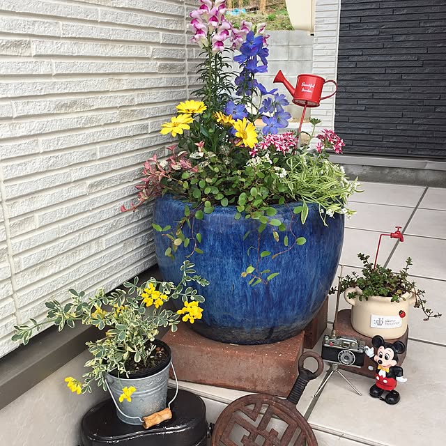 実例写真