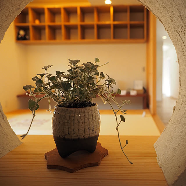 kojikaさんの実例写真
