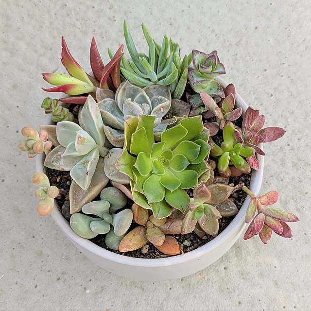 leaf_homeさんの実例写真