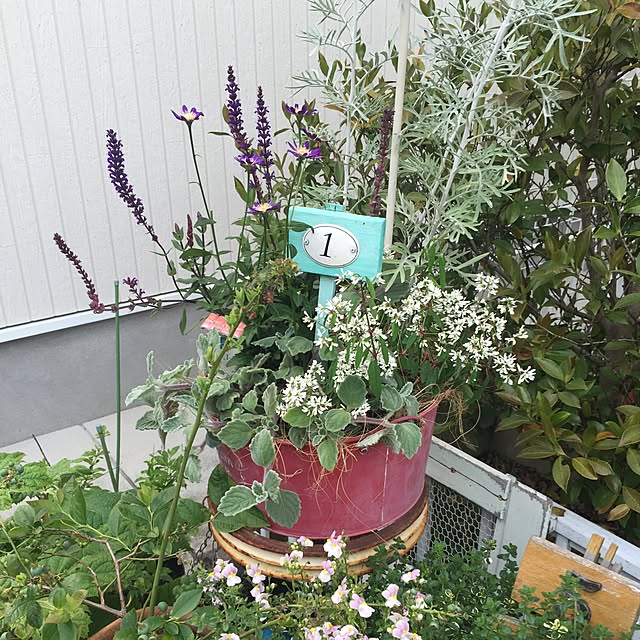 mtkさんの実例写真