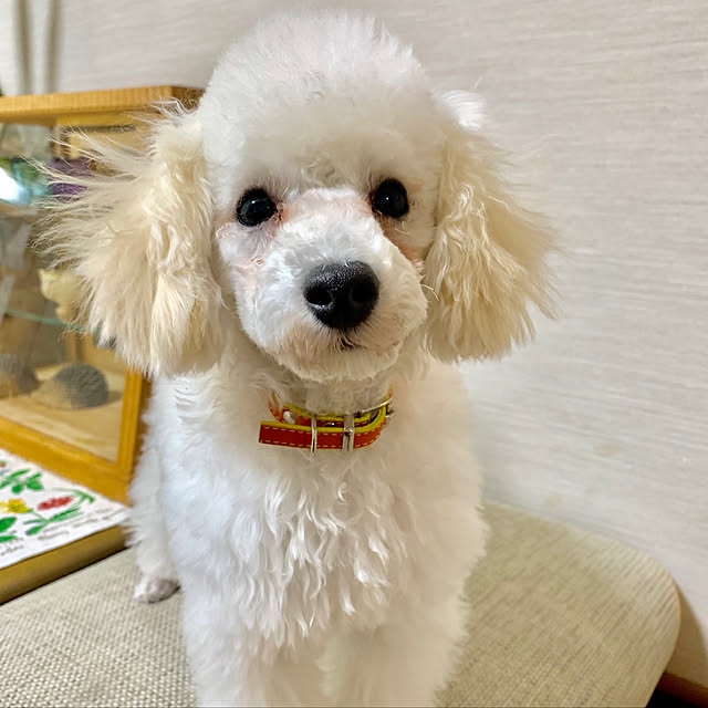 BUNさんの実例写真