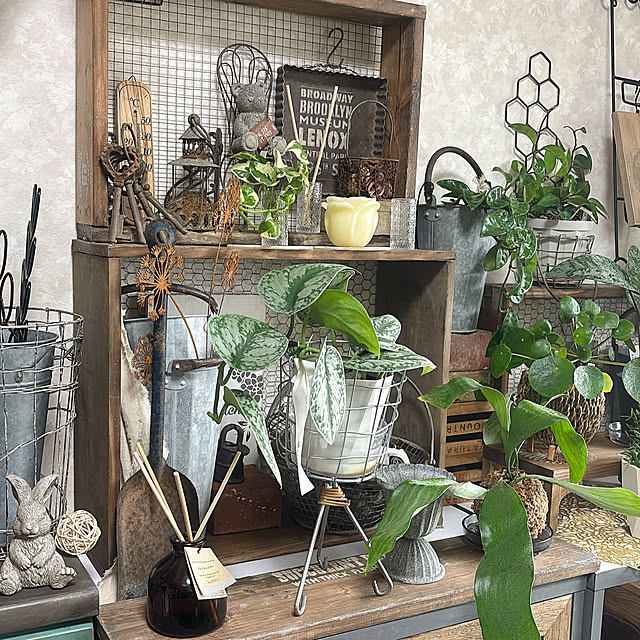 REI015mさんの実例写真