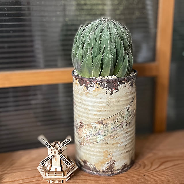 机/アリスタータ/多肉植物のある暮らし/多肉植物/リメ缶作り...などのインテリア実例 - 2024-10-26 22:19:24