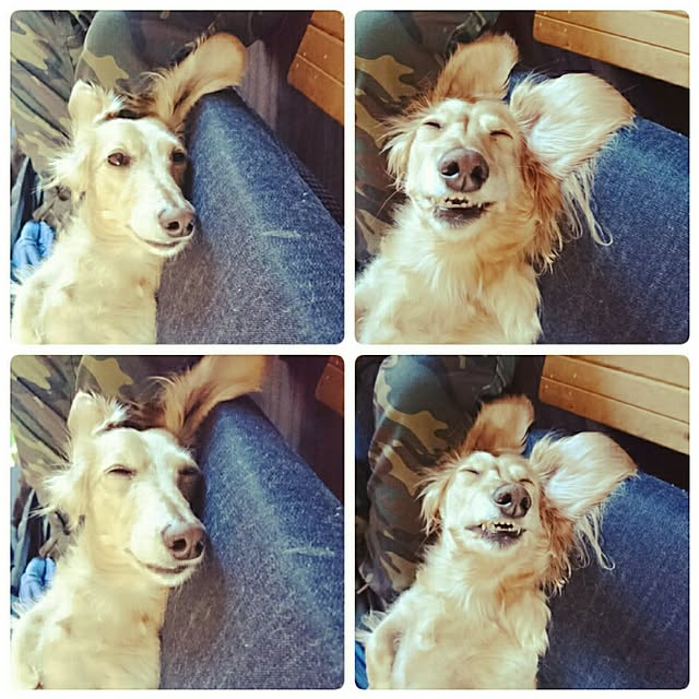 cocosorasakuさんの実例写真