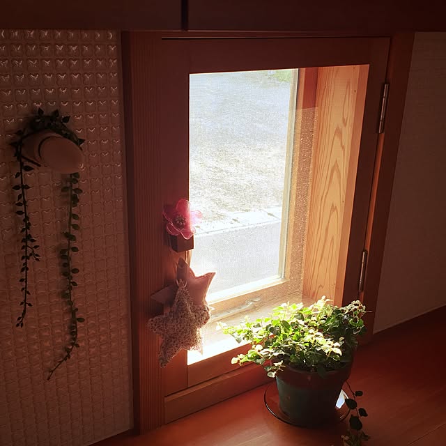 Momokoさんの実例写真