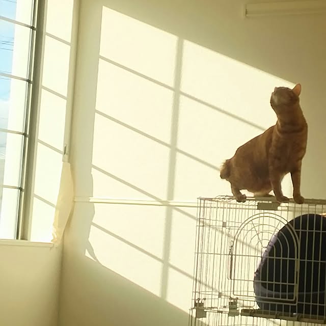 tanaさんの実例写真