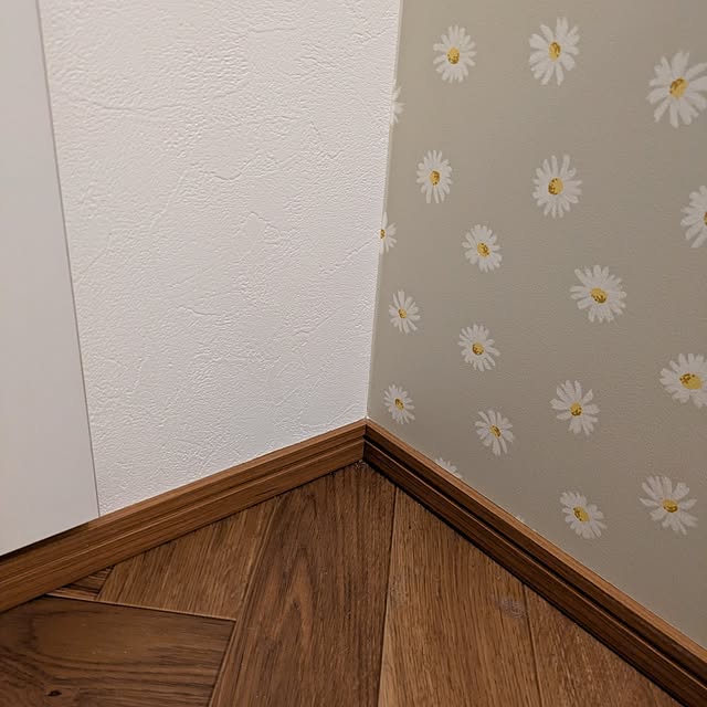 a---a---asa.6さんの実例写真