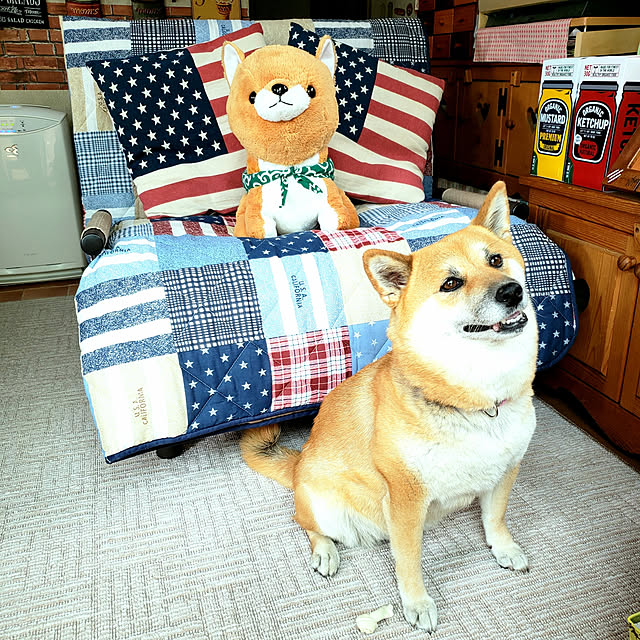 nanaさんの実例写真