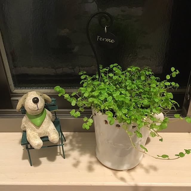 Y.Sさんの実例写真