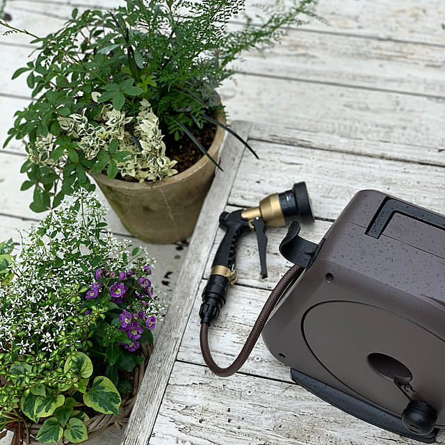 Royal_Gardeners_Clubさんの実例写真