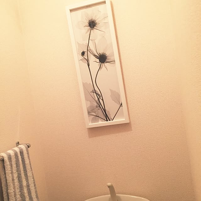 RYOHさんの実例写真