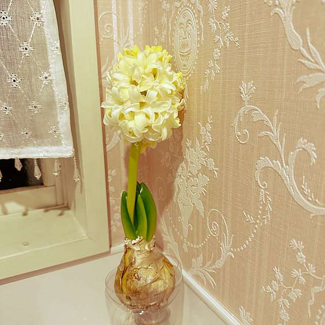 konayuriaさんの実例写真