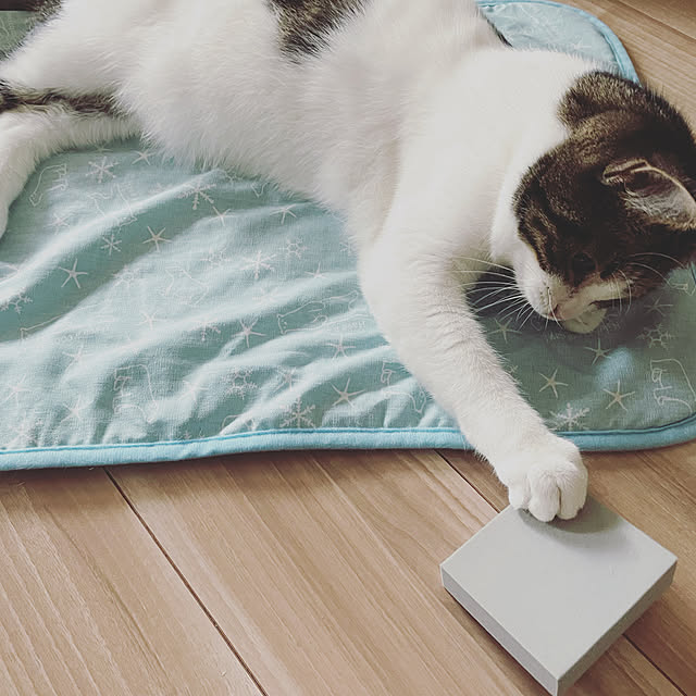 hemukoさんの実例写真