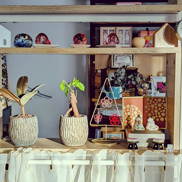 mi-saさんの実例写真