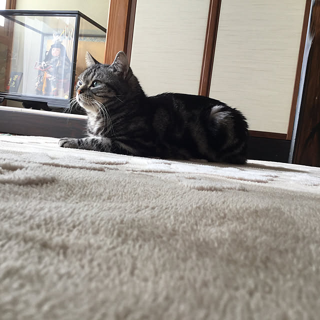 richanさんの実例写真