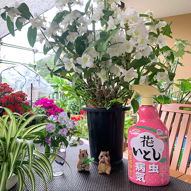Aqettyさんの実例写真