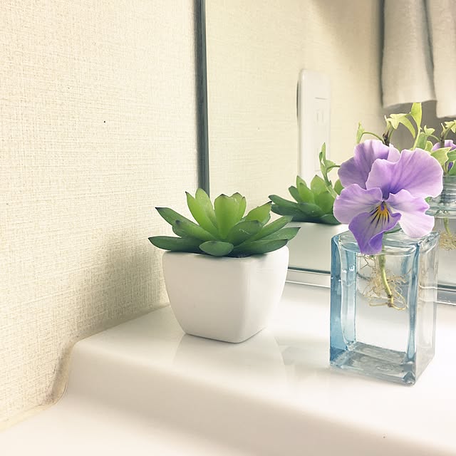 tirolさんの実例写真