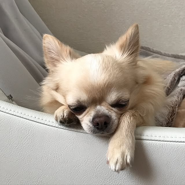 rosemaryさんの実例写真