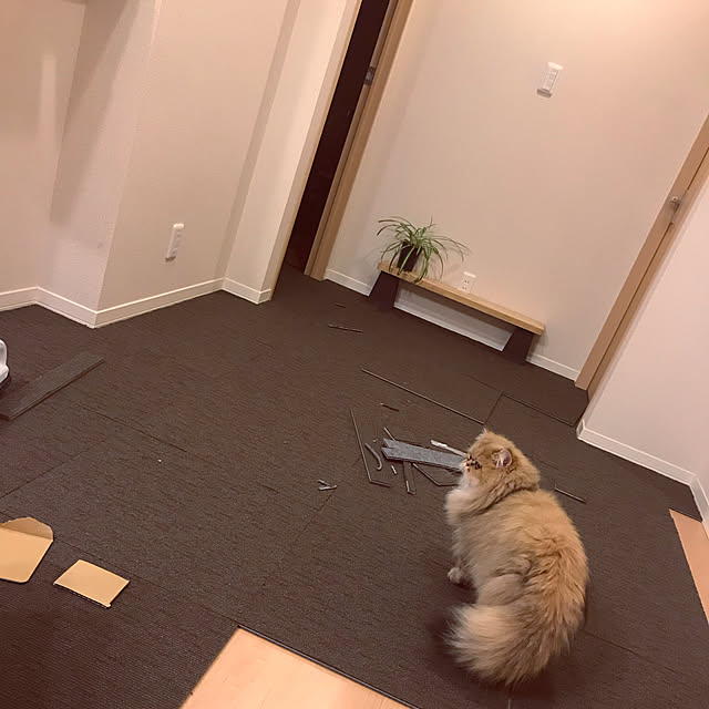 ichonさんの実例写真