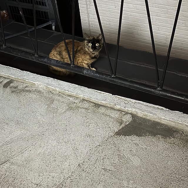 yukarin012さんの実例写真