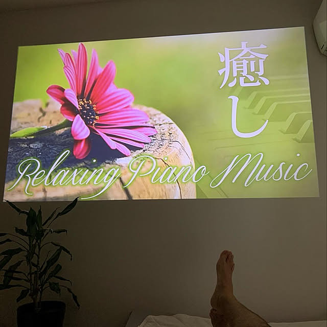 asayanさんの実例写真