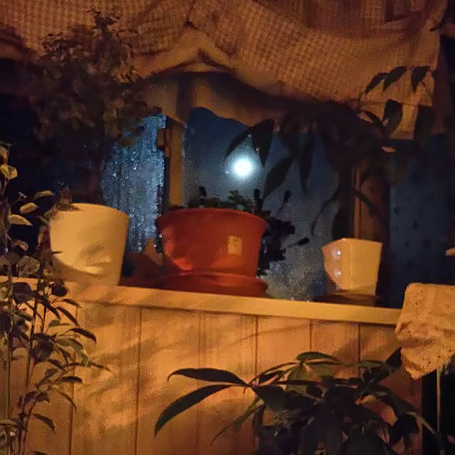 naopyiさんの実例写真
