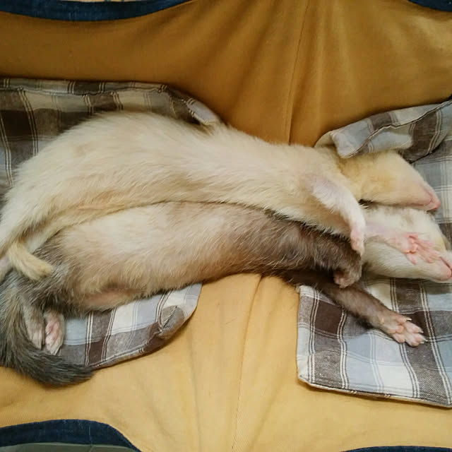 an89さんの実例写真