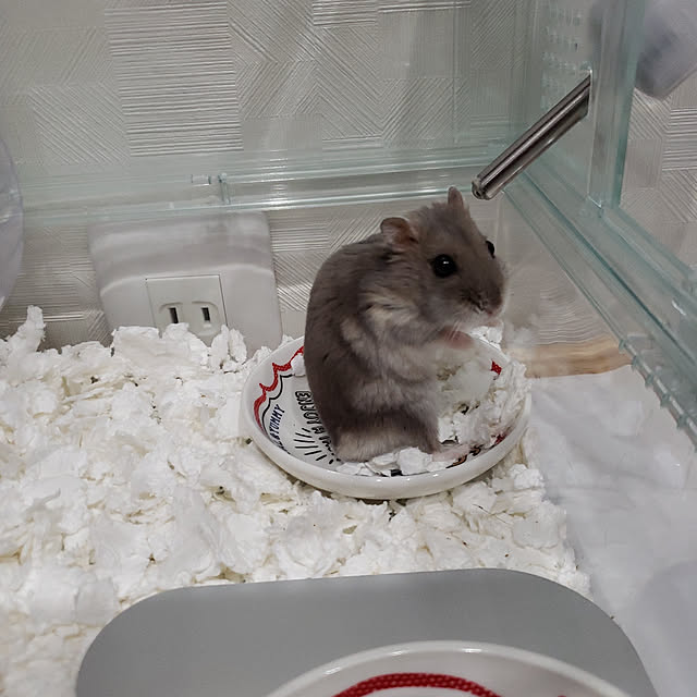 BAZさんの実例写真