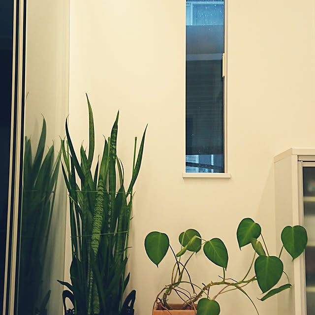 eco.ecoさんの実例写真