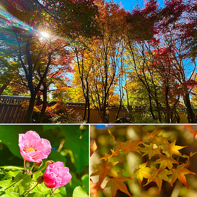 tututu0204さんの部屋