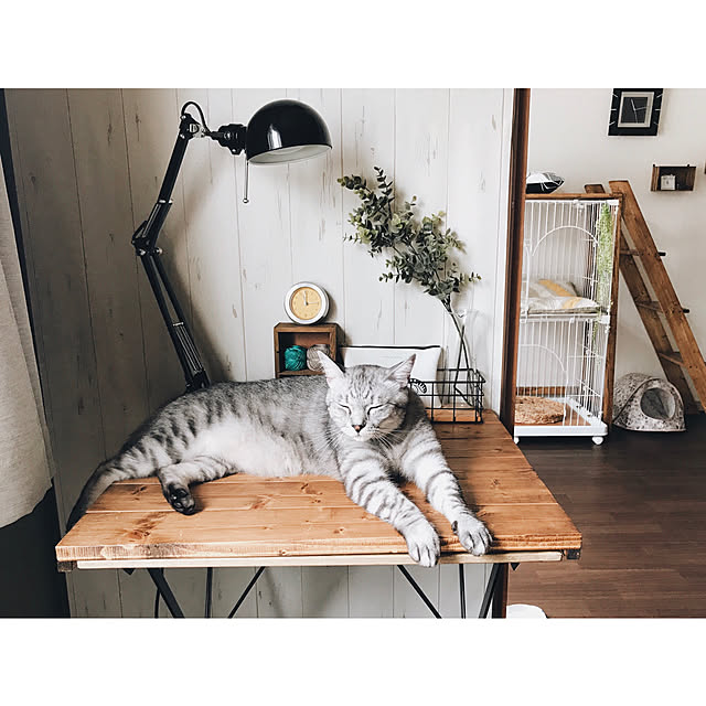 ineko_kさんの実例写真